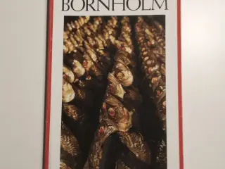Politikens Turen går til Bornholm