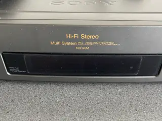 Video afspiller
