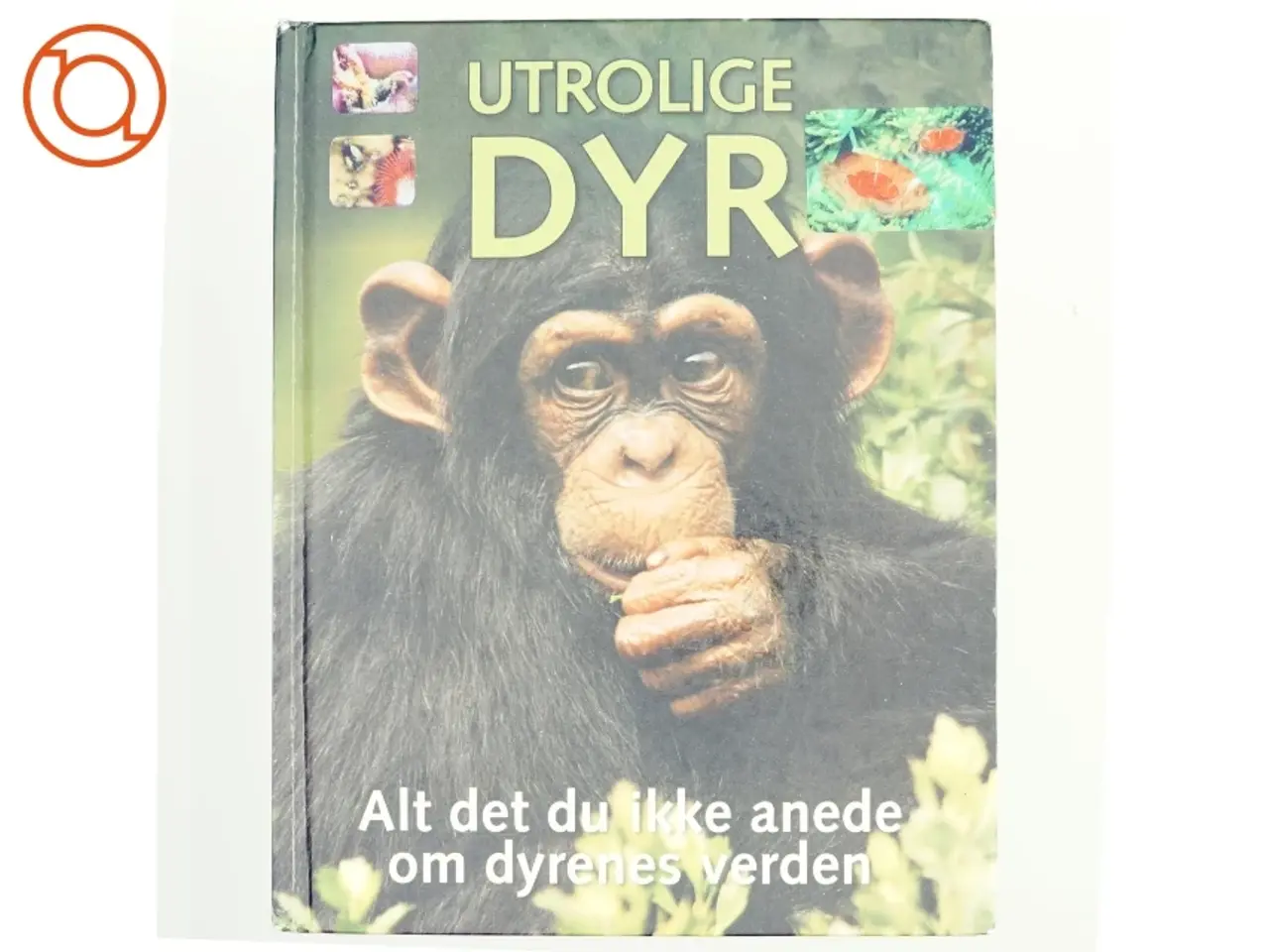 Billede 1 - Utrolige dyr af David Burnie (Bog)