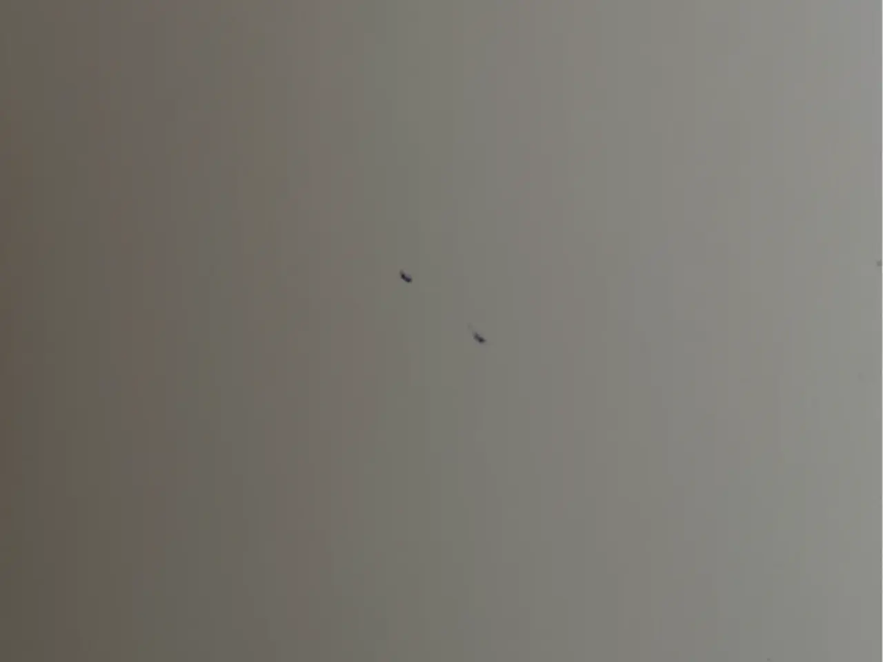 Billede 7 - Hvidt spisebord med 2 plader