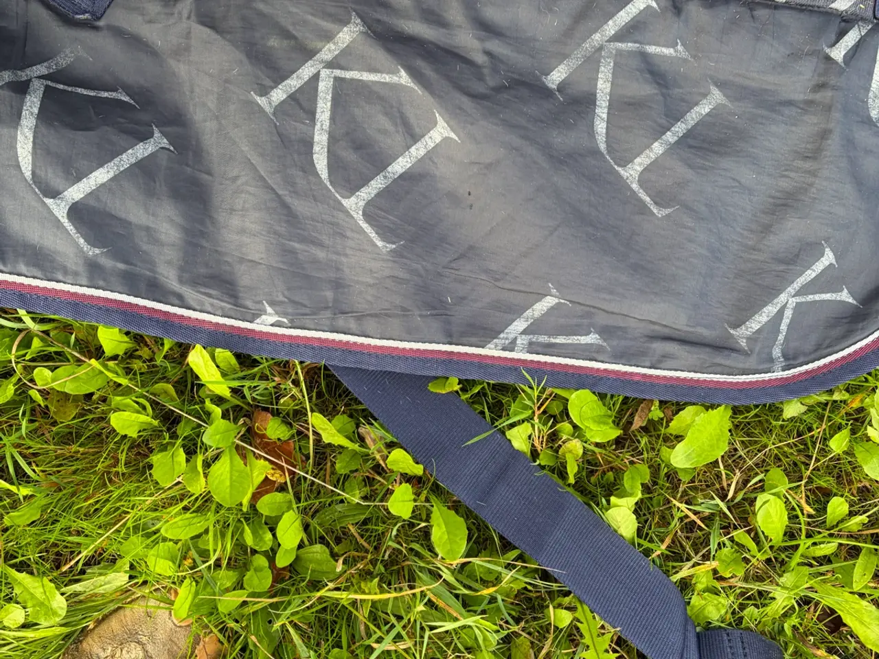 Billede 4 - Kingsland 200g str 115