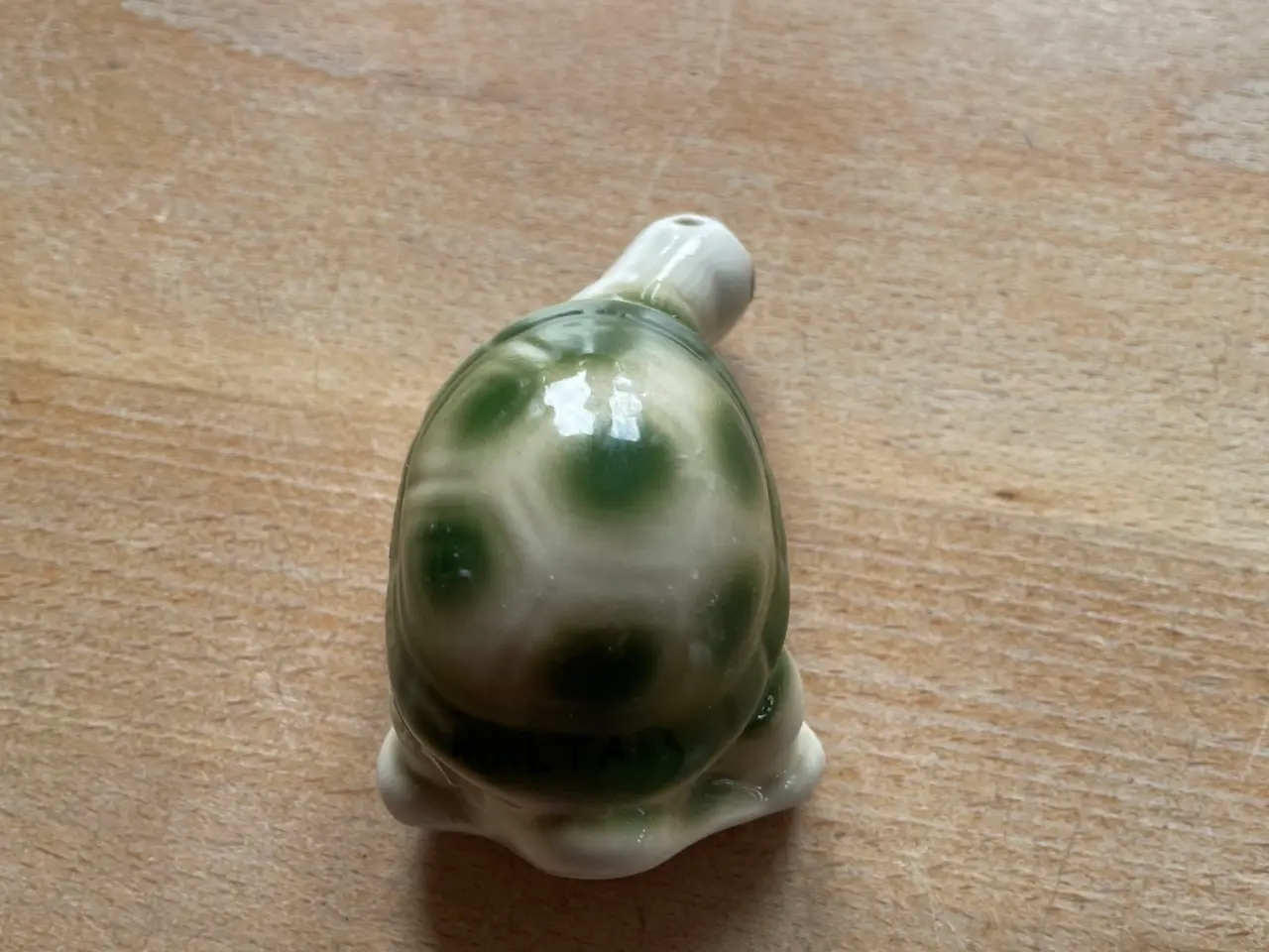 Billede 3 - Saltbøsse skildpadde