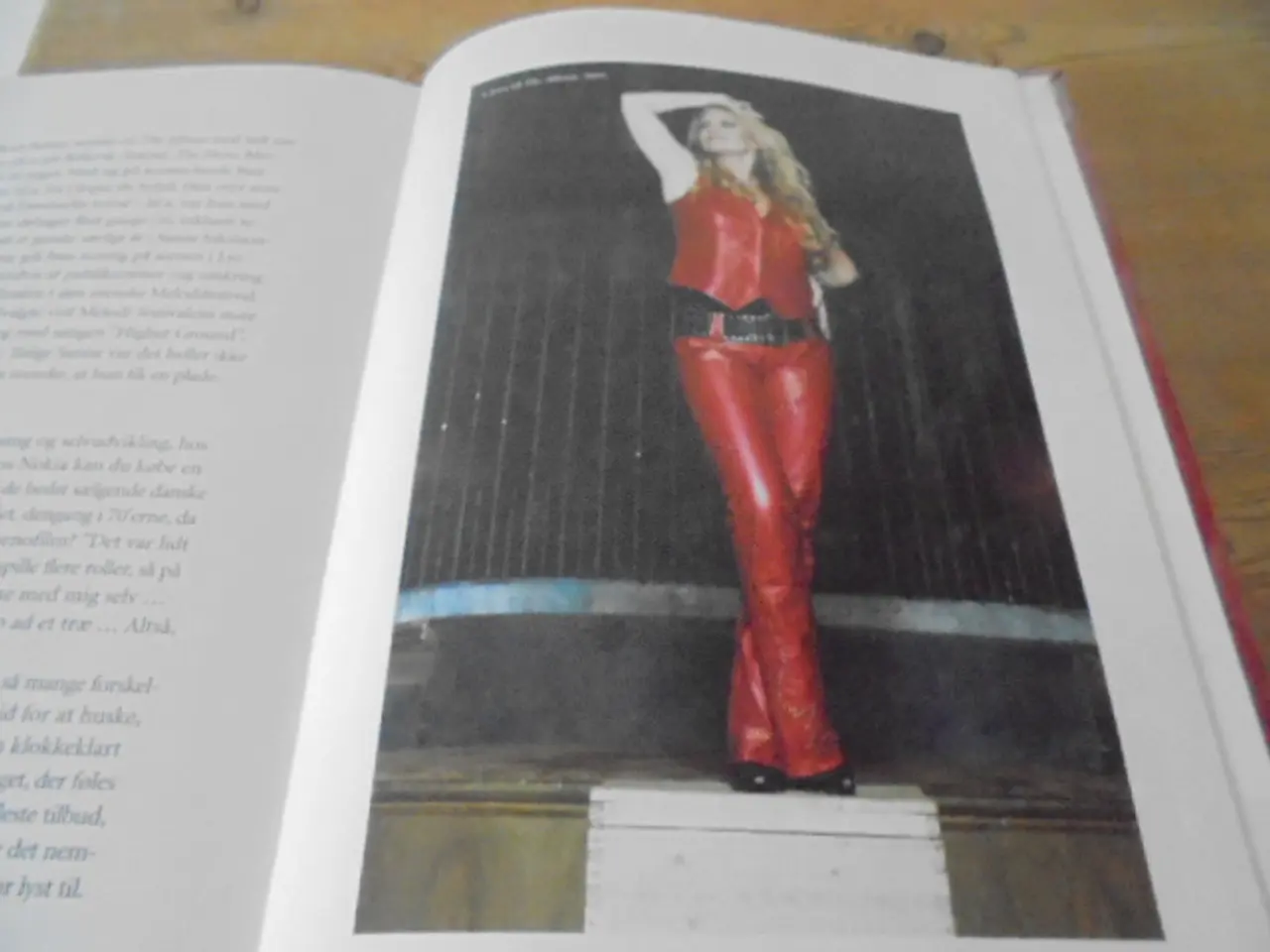 Billede 8 - Sanne Salomonsen – The Book. Lidt til og meget mer