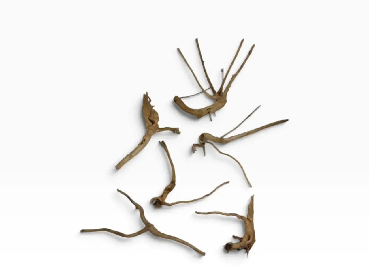 Billede 9 - Akvarierødder & naturtræ – fra 29 kr. 🌿
