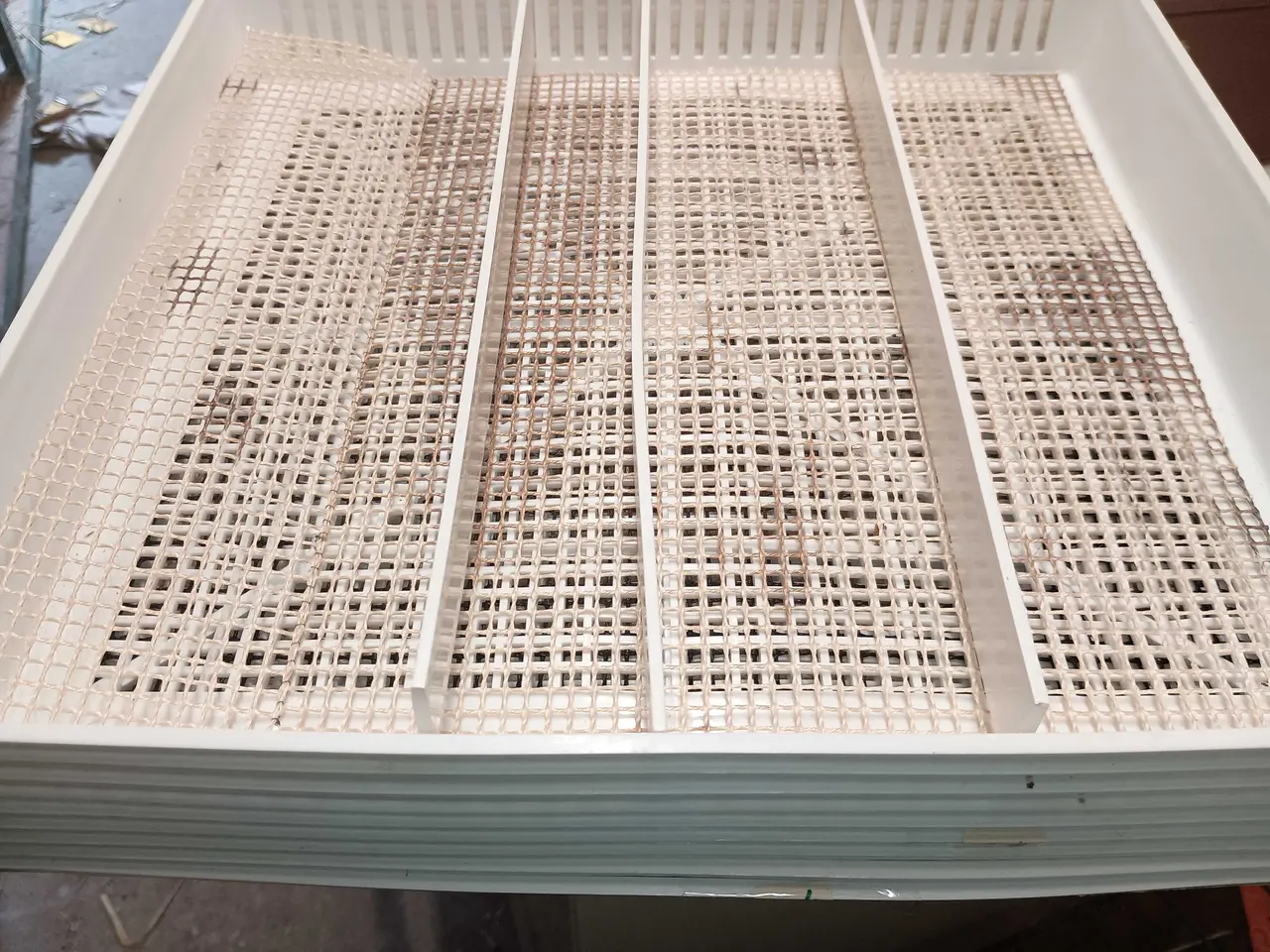 Billede 2 - Brinsea overeasy 360 fuld automatisk rugemaskine.