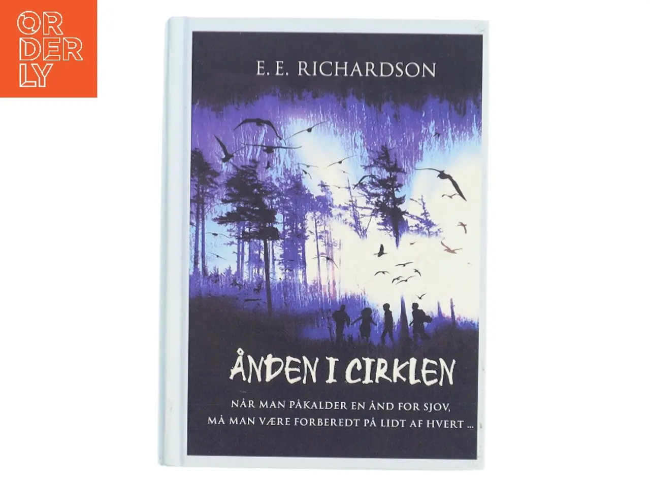 Billede 1 - Ånden i Cirklen af E. E. Richardson (Bog)