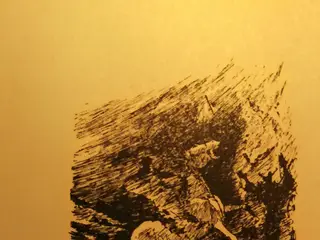 Theodor Storm: Der Schimmelreiter. Reclam, 1996.