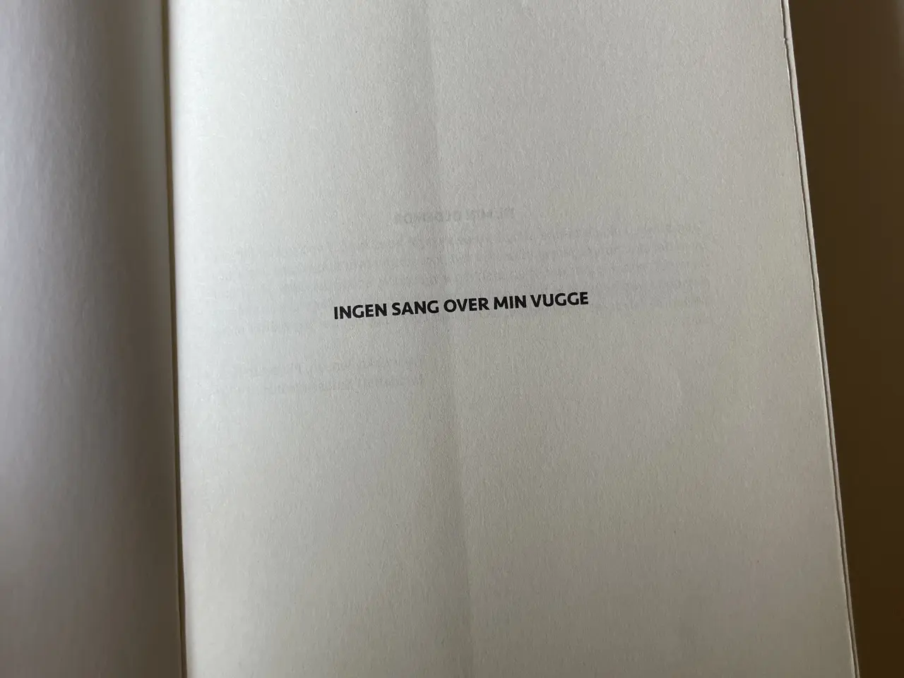 Billede 9 - Ingen sang over min vugge. Af Vibeke Rejnholt Pfei