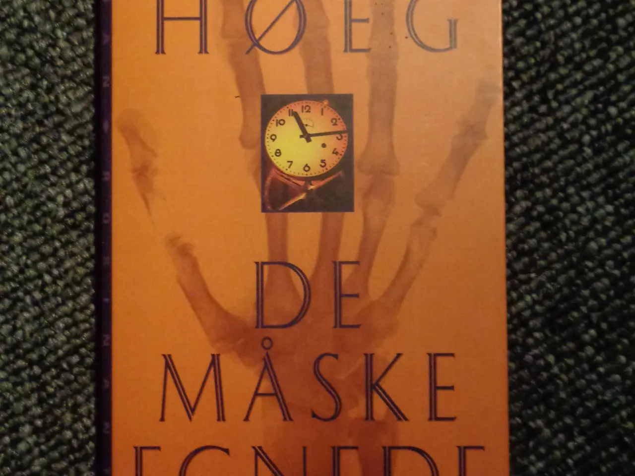Billede 1 - De måske egnede