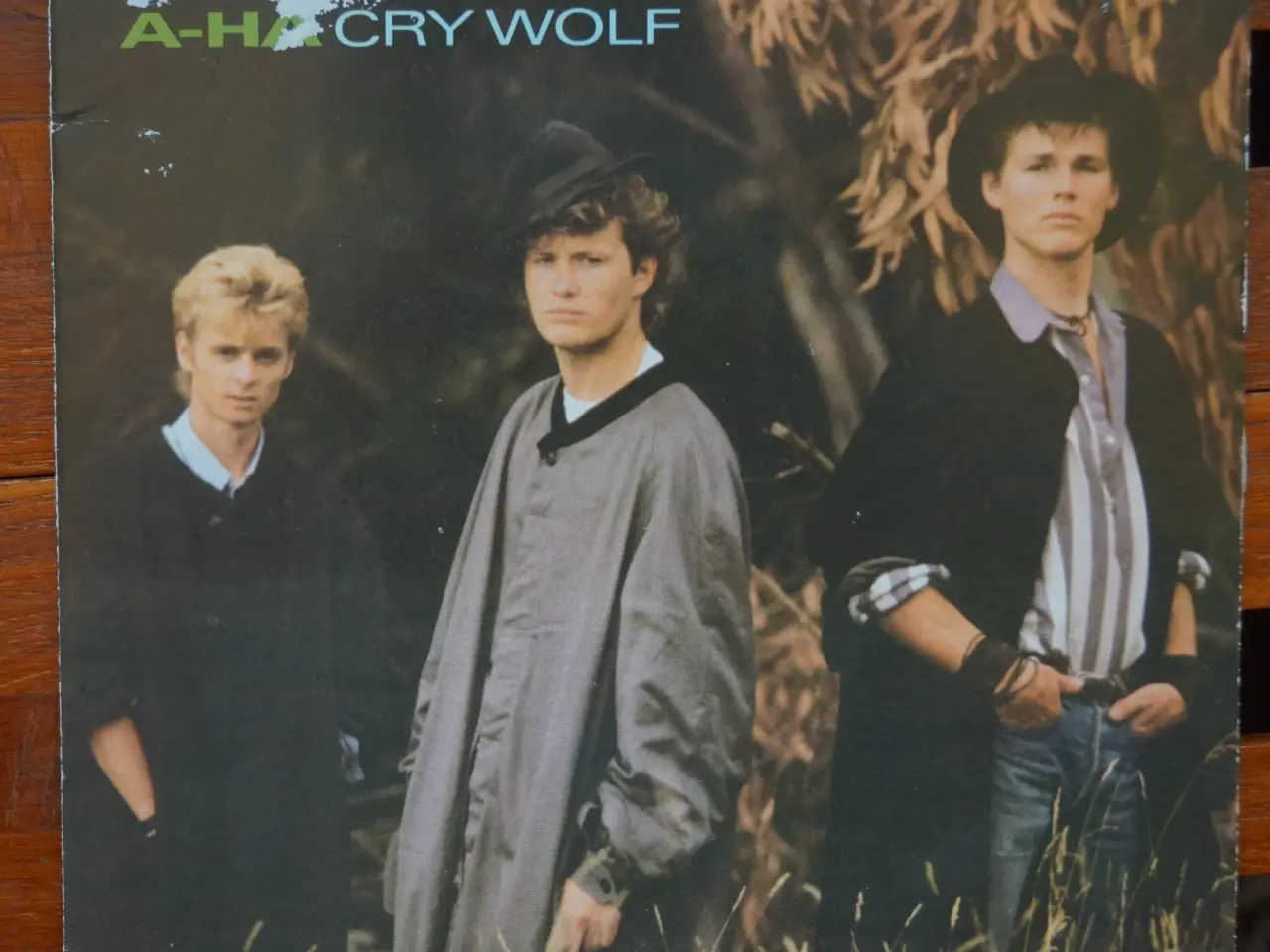 Billede 1 - AHA: Cry wolf