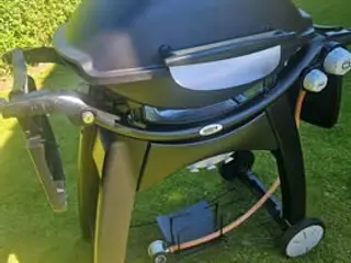 Weber gasgrill Q3000-3200