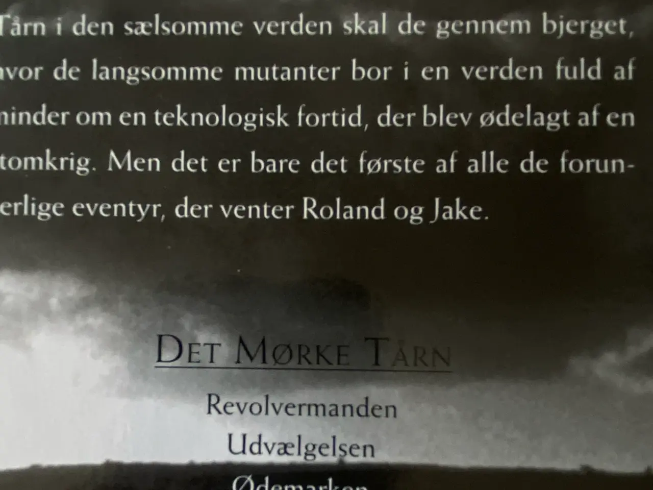 Billede 4 - Stephen King bog