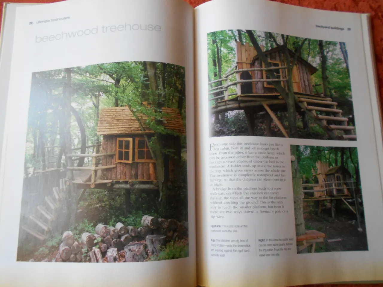 Billede 3 - Ultimate treehouses, David Clark