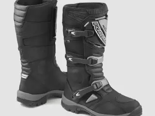 Forma Adventure Dry Sort