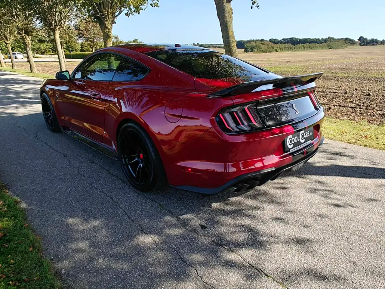 Billede 9 - Ford Mustang GT V8