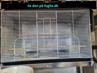 Fuglebur til salg.