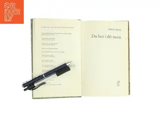 Du bor i dit navn af Jørn Riel (Bog)