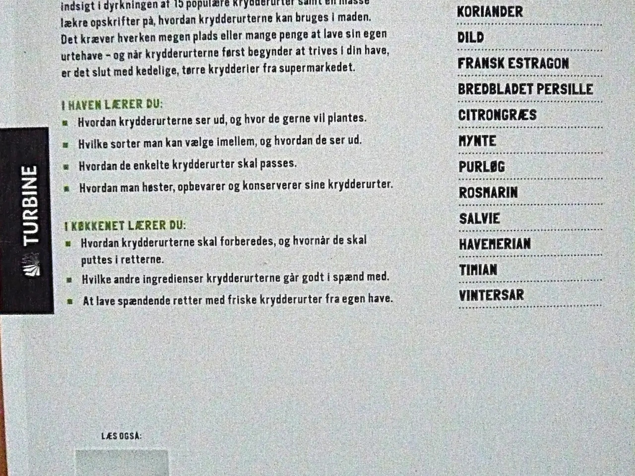 Billede 2 - Lav din egen urtehave af Lisa Baker Morgan og Ann