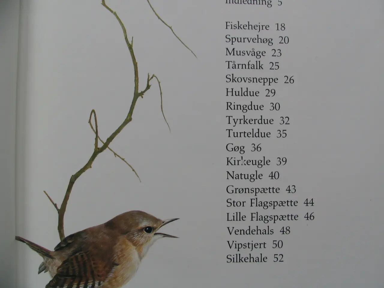 Billede 2 - Fugle i have og skov