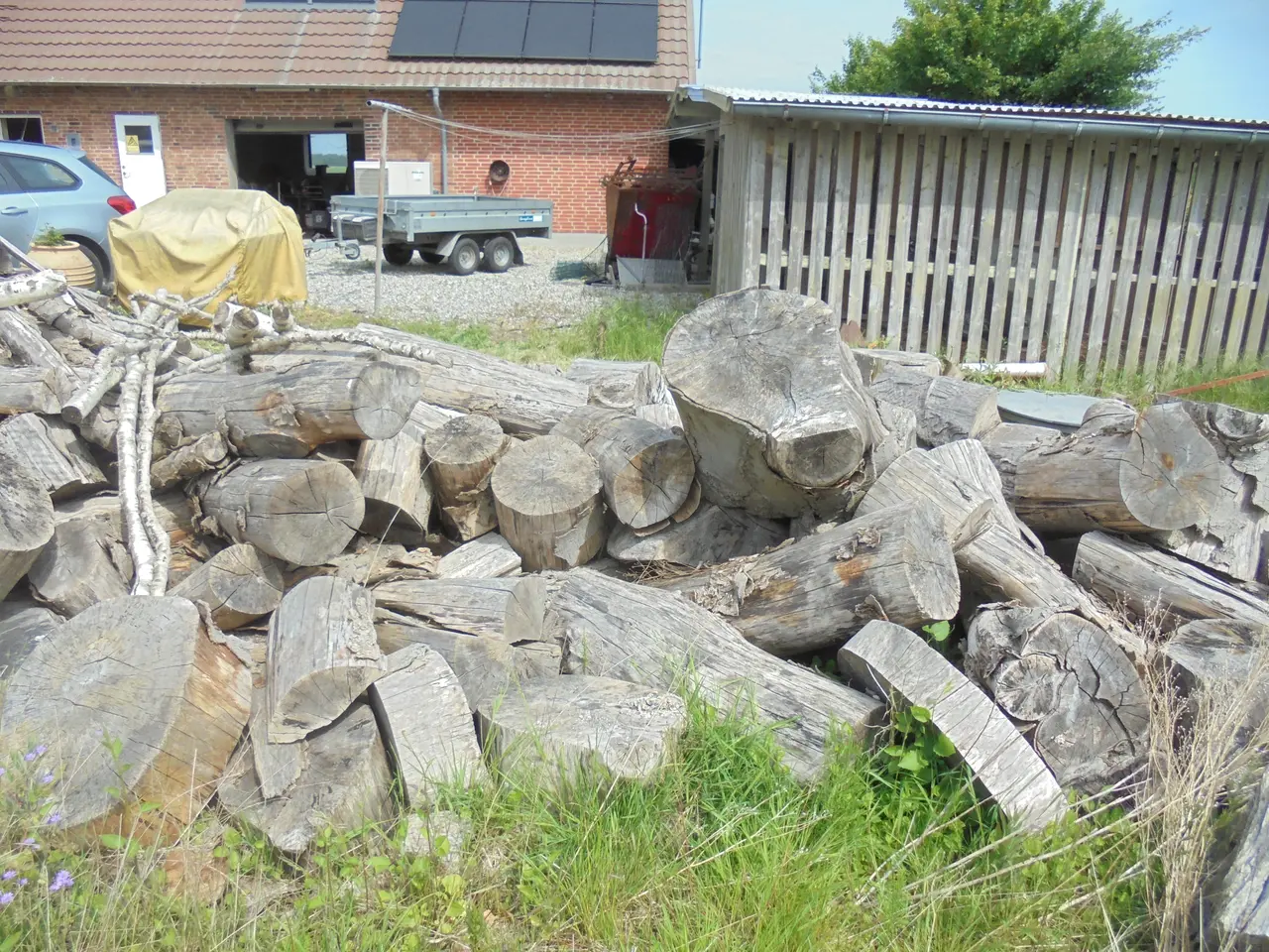 Billede 3 - Bøgebrænde i store stykker