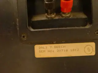 Dali 7 
