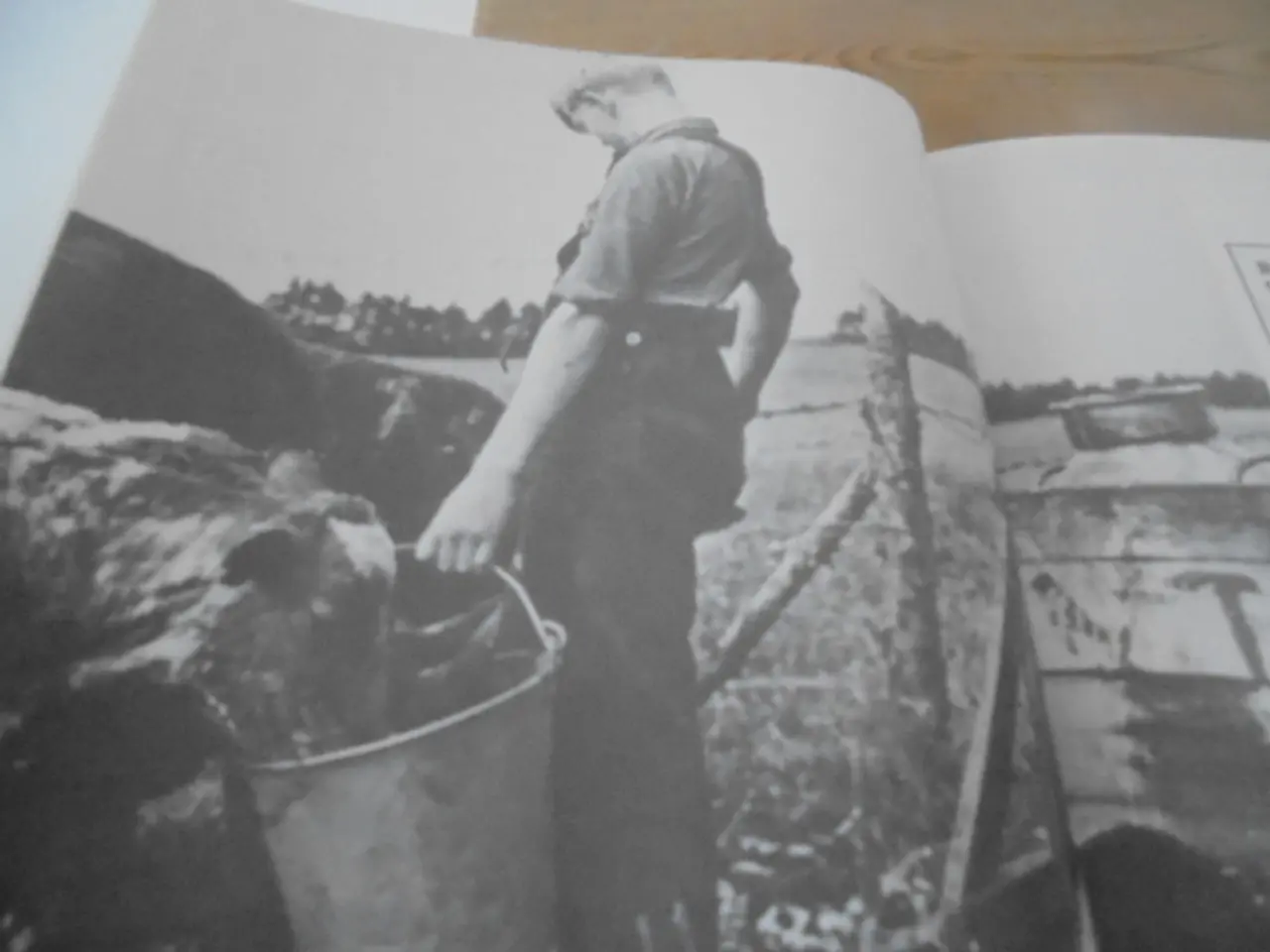 Billede 8 - Arbejdsmandens historie i 100 år – 4
