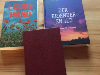 4 forskellige andagtsbøger