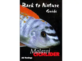 Malawicichlider
