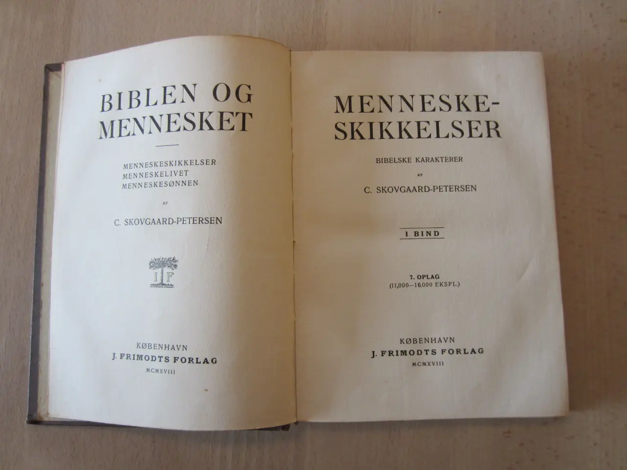 Billede 2 - Bog - Menneskeskikkelser - Bibelske karakterer