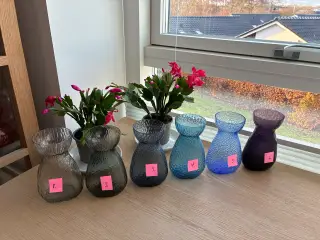 Hyacintglas - Gl. Holmegaard - 4 stk.