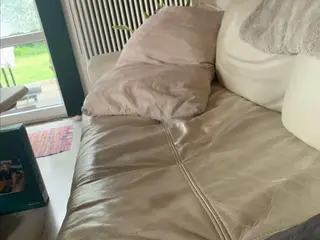 Søger en hund jeg kan hygge med
