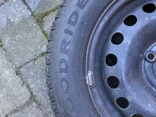 Helårsdæk