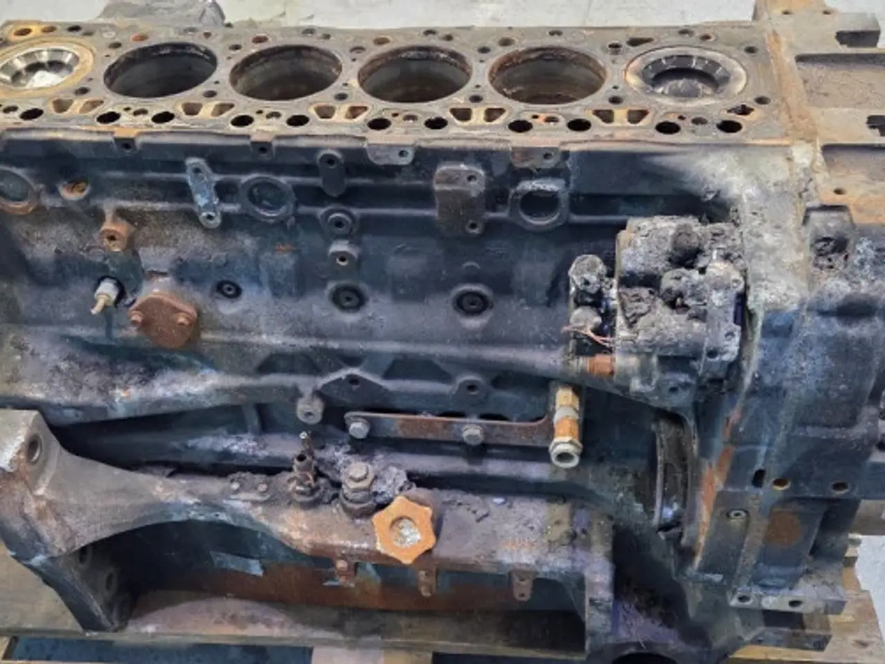 Billede 7 - Iveco F4DGE617D*V007 Motor 51485058