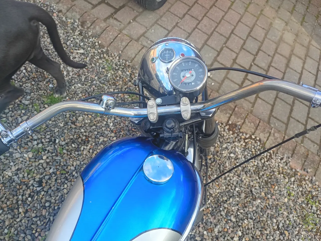 Billede 3 - T 100 flot mc