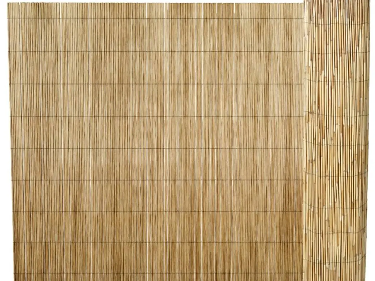 Billede 1 - Sivhegn til haven 500x125 cm