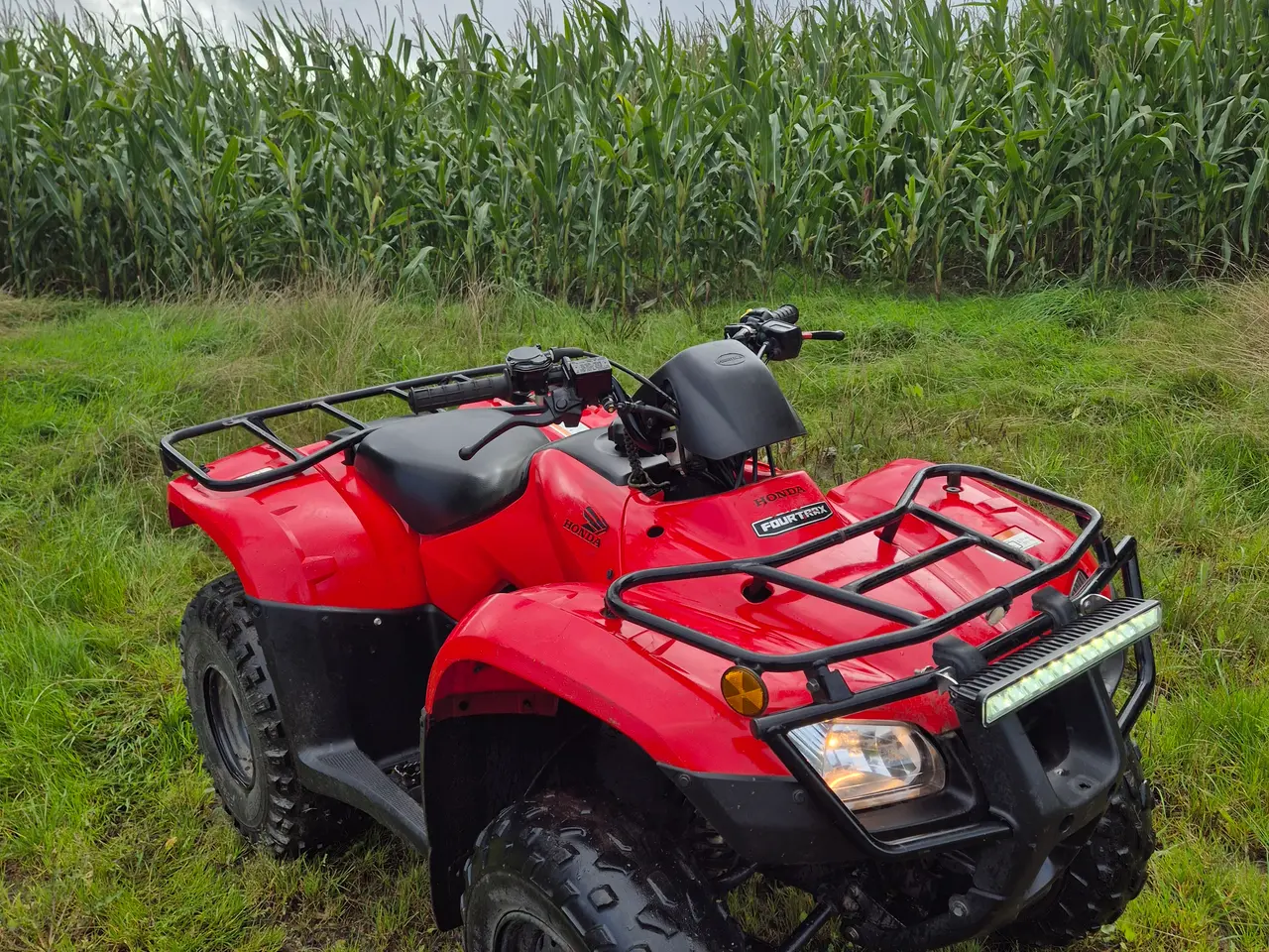 Billede 2 - Honda TRX250 2019