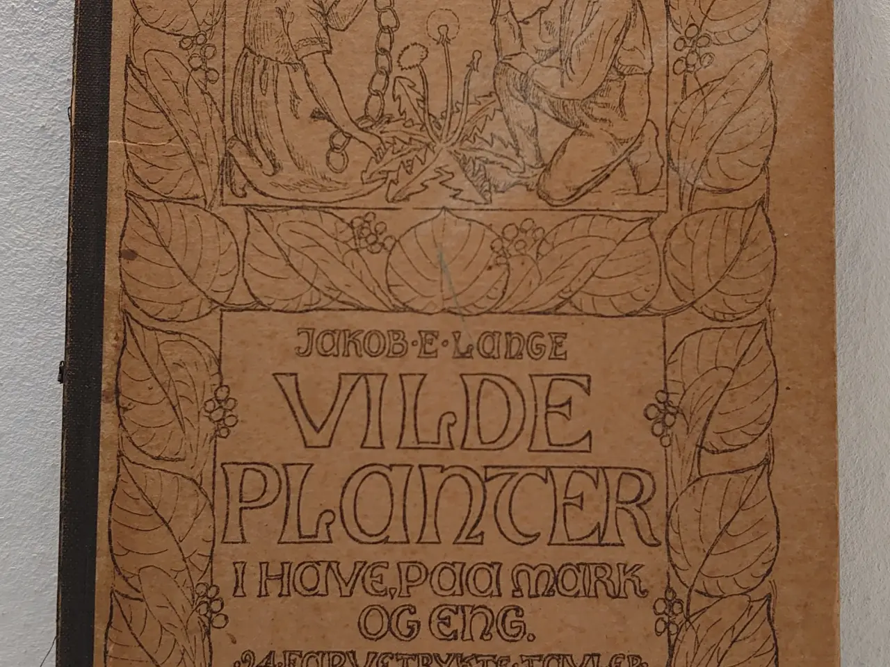 Billede 1 - J. E. Lange: Vilde Planter i Have,Paa Mark og Eng.