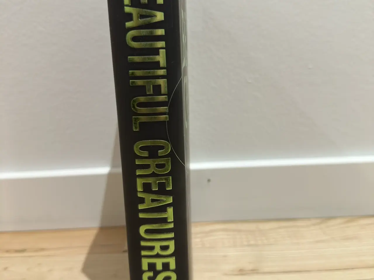 Billede 10 - Beautiful Creatures bog serie