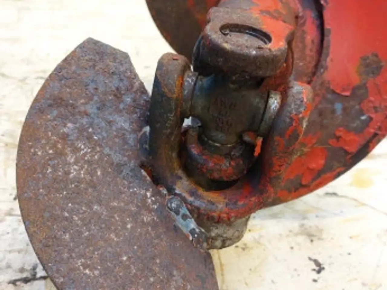 Billede 5 - Massey Ferguson Snegl 28880083