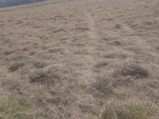Hø sælges 