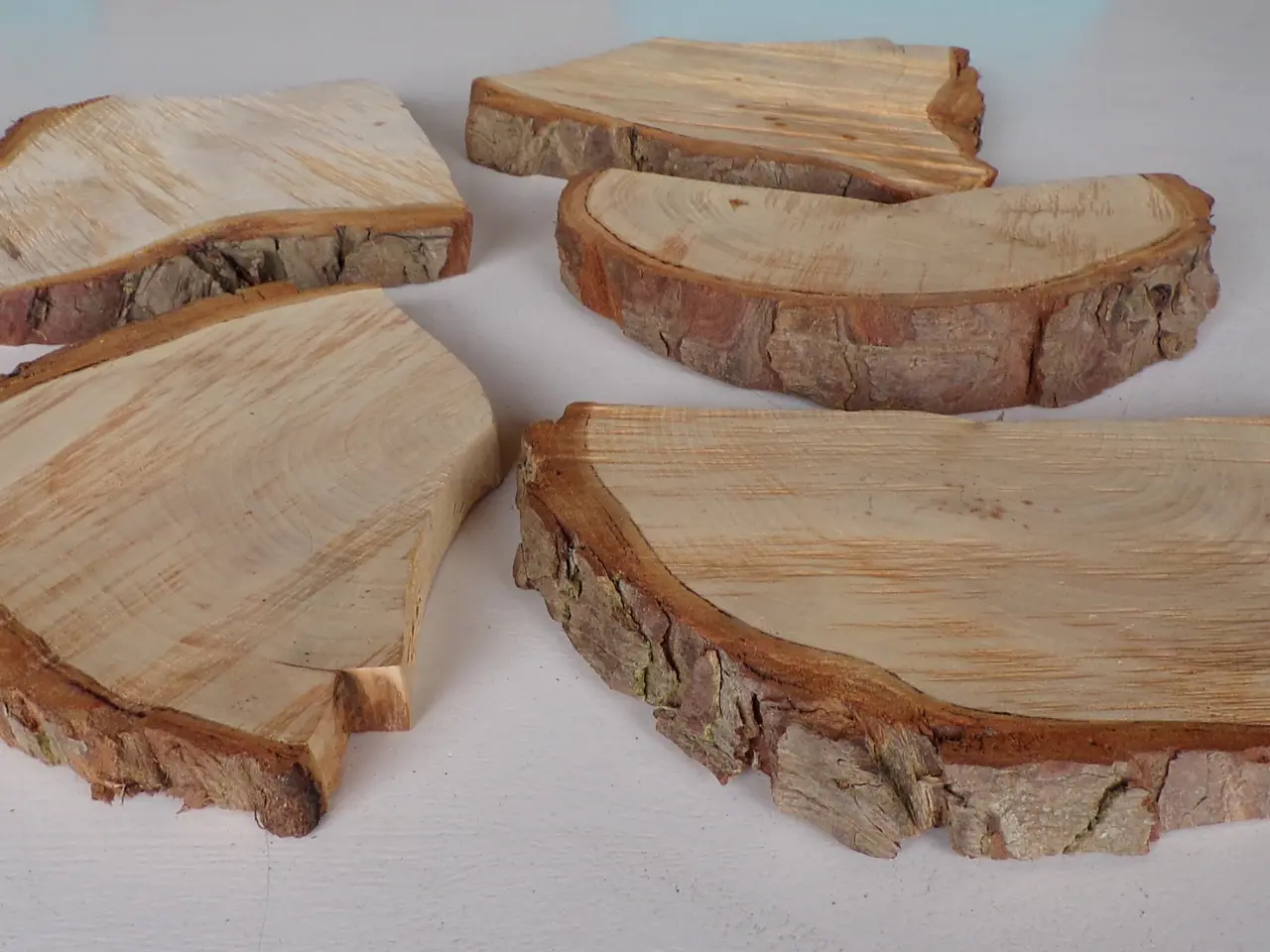 Billede 3 - 5 Thuja træskiver med bark i skæve faconer