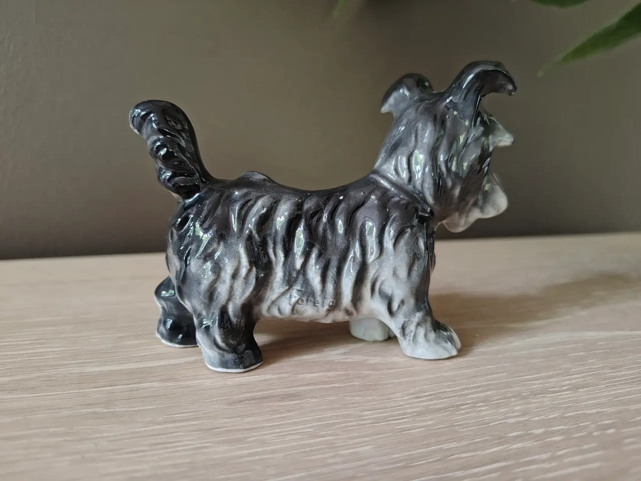Billede 3 - Fin lille tysk porcelænshund