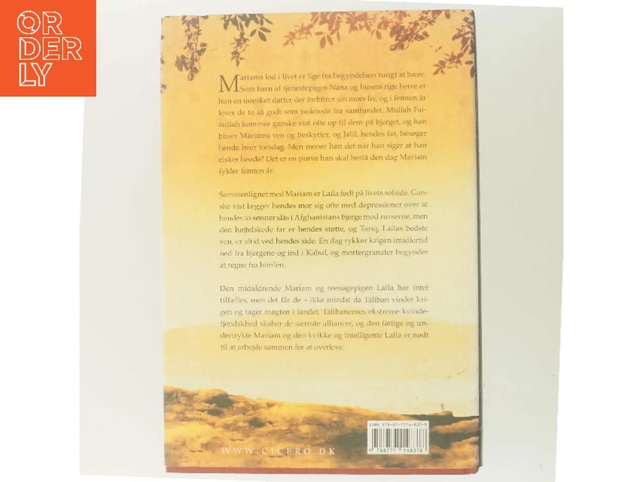 Billede 3 - Under en strålende sol af Khaled Hosseini (Bog)