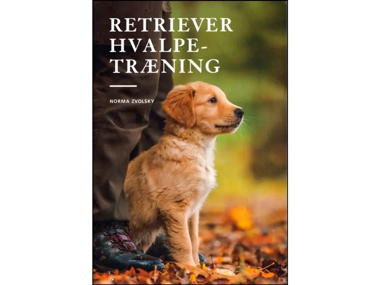 Billede 1 - Retriever Hvalpetræning