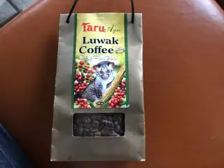 Luwak Coffee - verdens dyreste