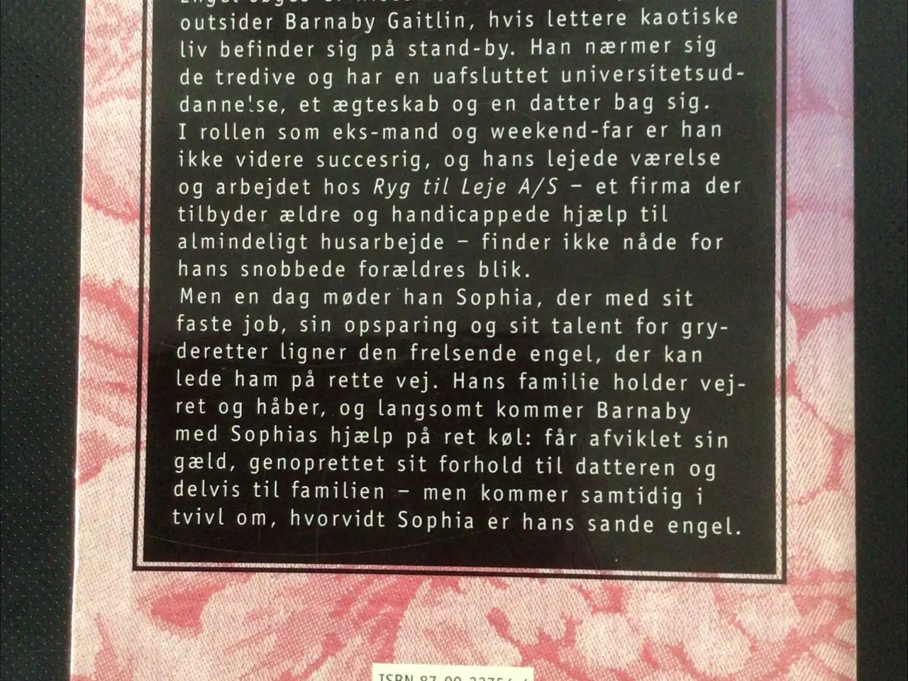 Billede 2 - Roman Engel søges