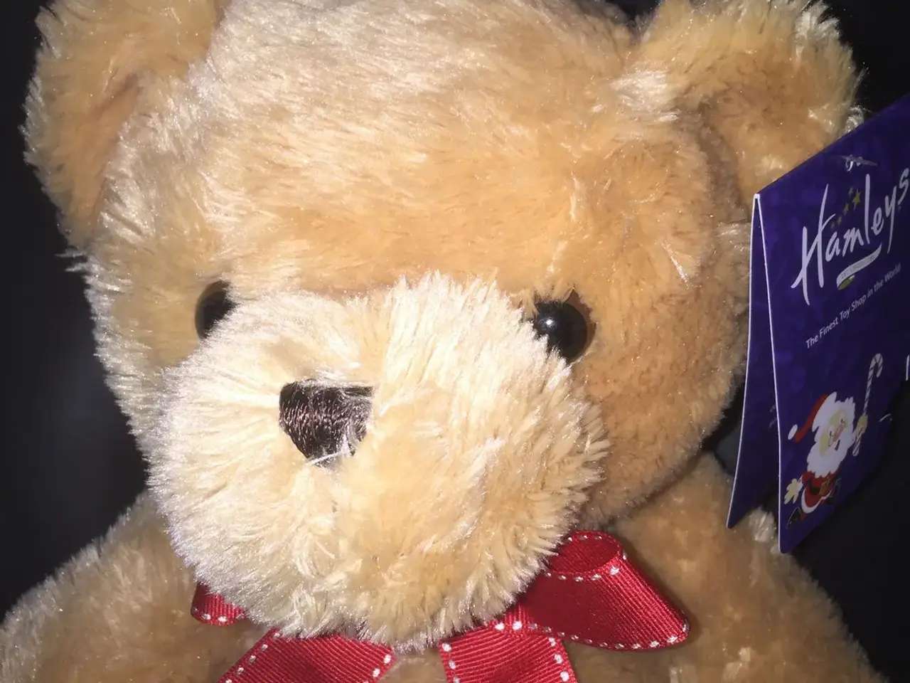 Billede 2 - HELT NY bamse fra Hamleys