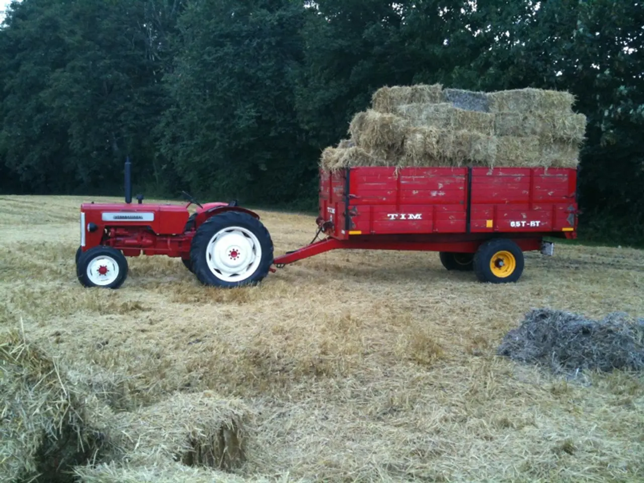 Billede 15 - 1964 IH B-414 diesel veterantraktor