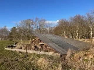 GRATIS TRÆ og hegnspæle mv