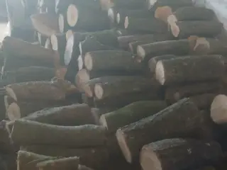 brænde